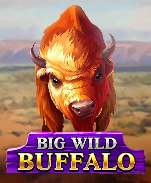 Play Big Wild Buffalo at Bet Room 24 Casino